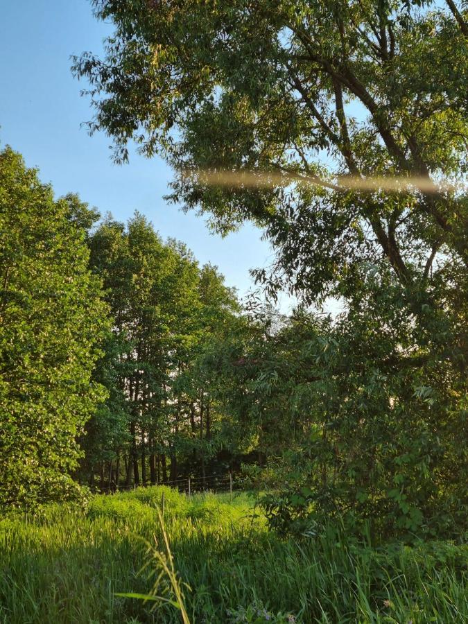 Zacisze Na Roztoczu Villa Horyniec Exterior foto